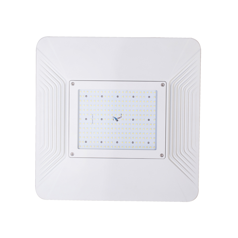 Canopy Light for Outdoor Venues That Impress