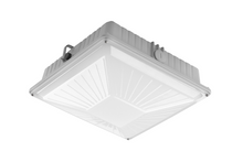 60W IDA-Series Canopy Light