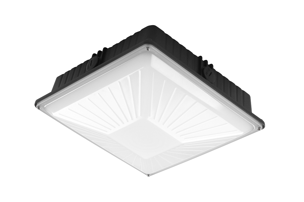 60W IDA-Series Canopy Light