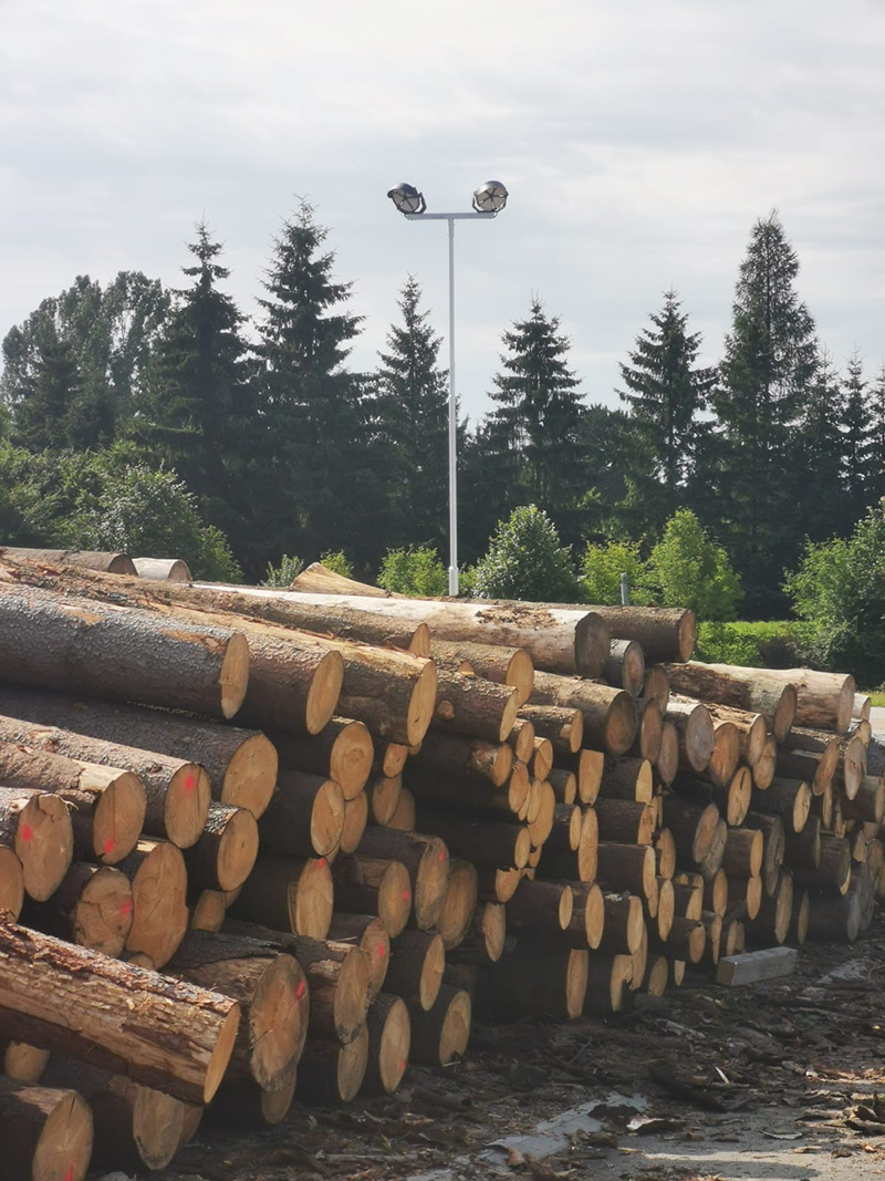 Wood processing factory-4